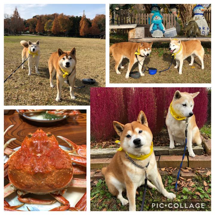 88172dc2 c2f1 41db bea9 5b922b088d0e 1543500493359