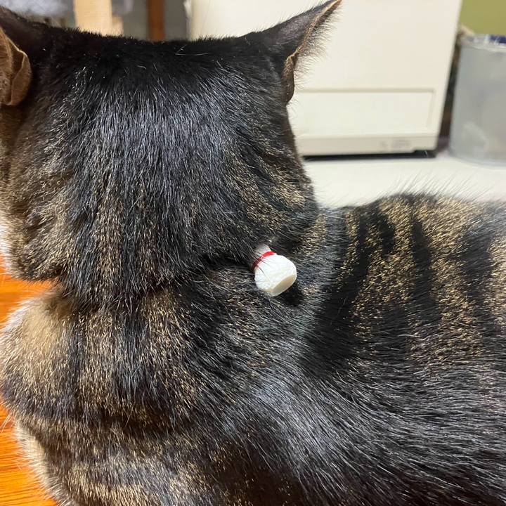 88175928 b171 4e86 afc7 2f79ffa545d4 1767843637038