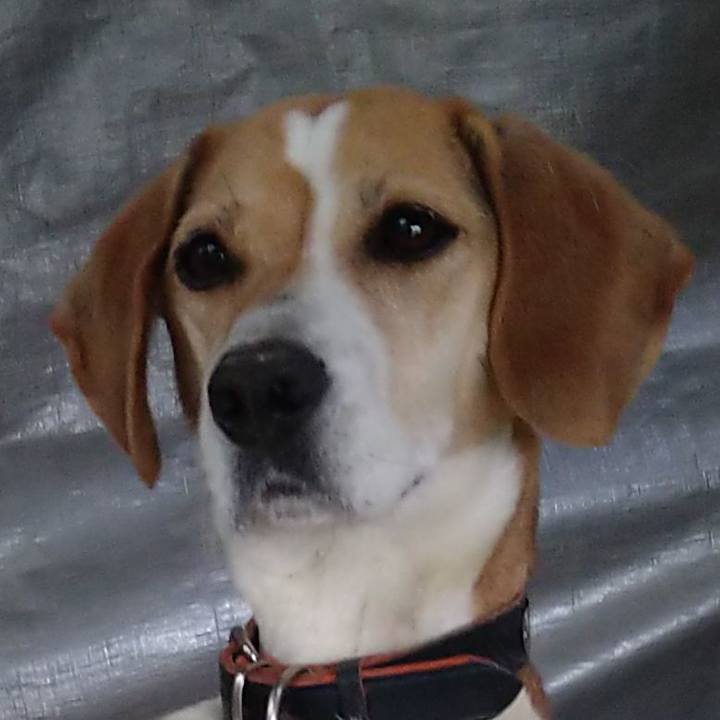 88179101 ca16 4fd8 871f d812f7105a97 1652850618278