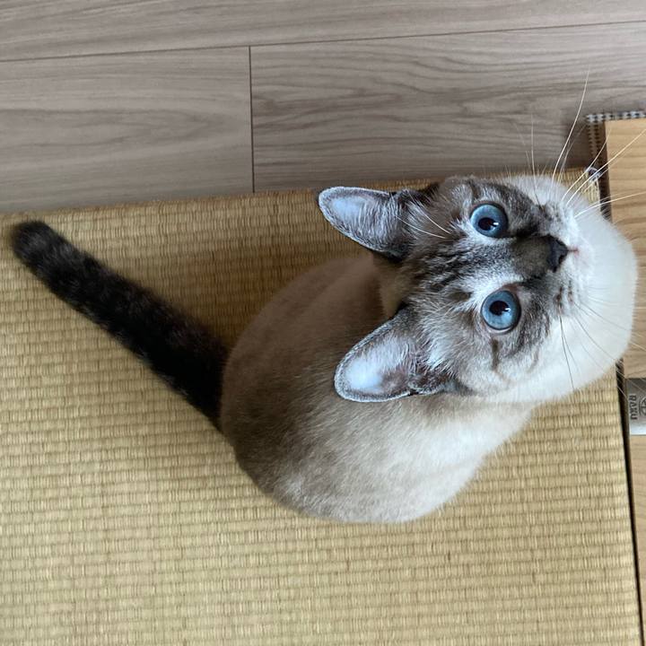 8817b5e3 52aa 48d4 bce3 8cead2bee79e 1596197714431