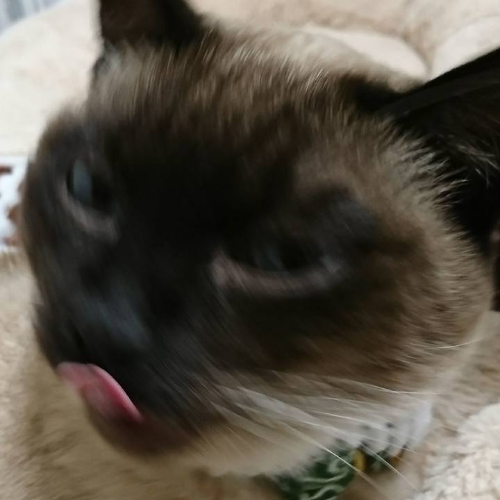 881885b8 988c 4873 ba2c 4f97e0a3e29a 1523054106139