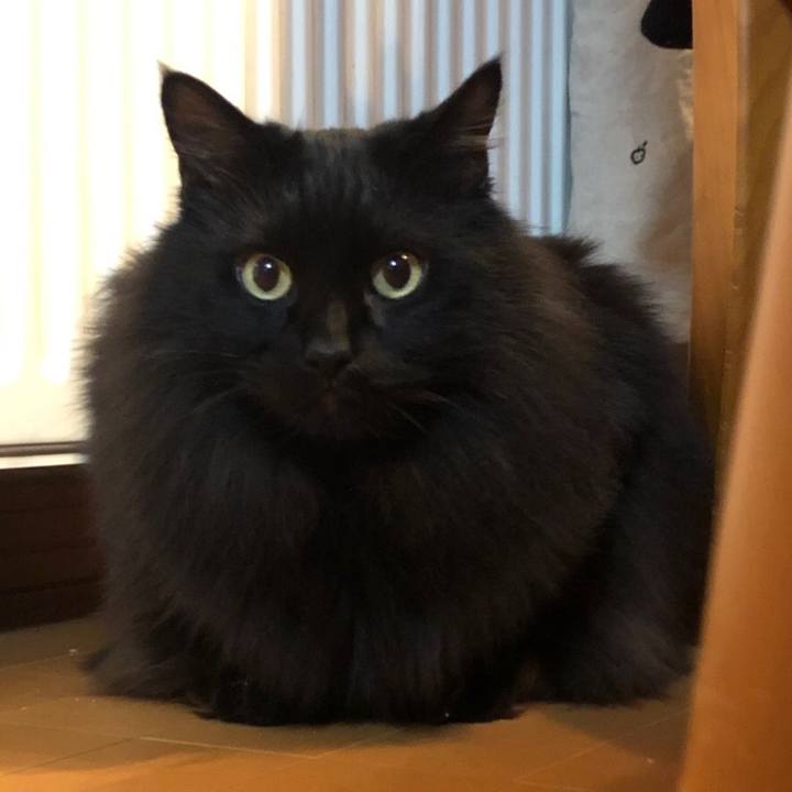 881893d2 71bb 4f6d 8f19 12d764f4c9ad 1547110885123