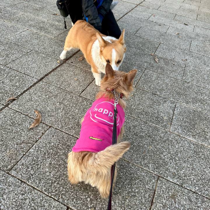 8818b24c dbbf 41e3 8aec dd2622e58a6b 1735358376435