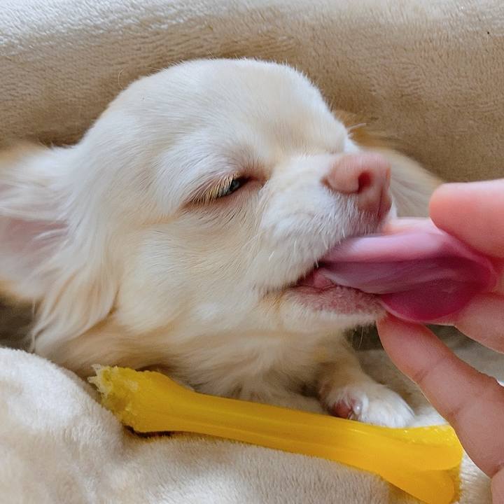 8818b6e1 0002 4e6f 878c 15a01a15c573 1612418156624