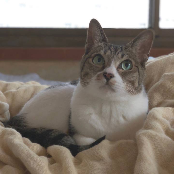 8818d465 77a4 4f4d b023 01feb087b9ee 1539392213856