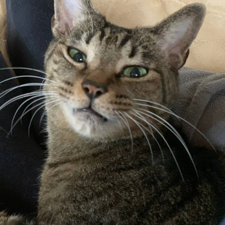 88190989 4183 43cb 8cee 626d180bc64e 1578879553637