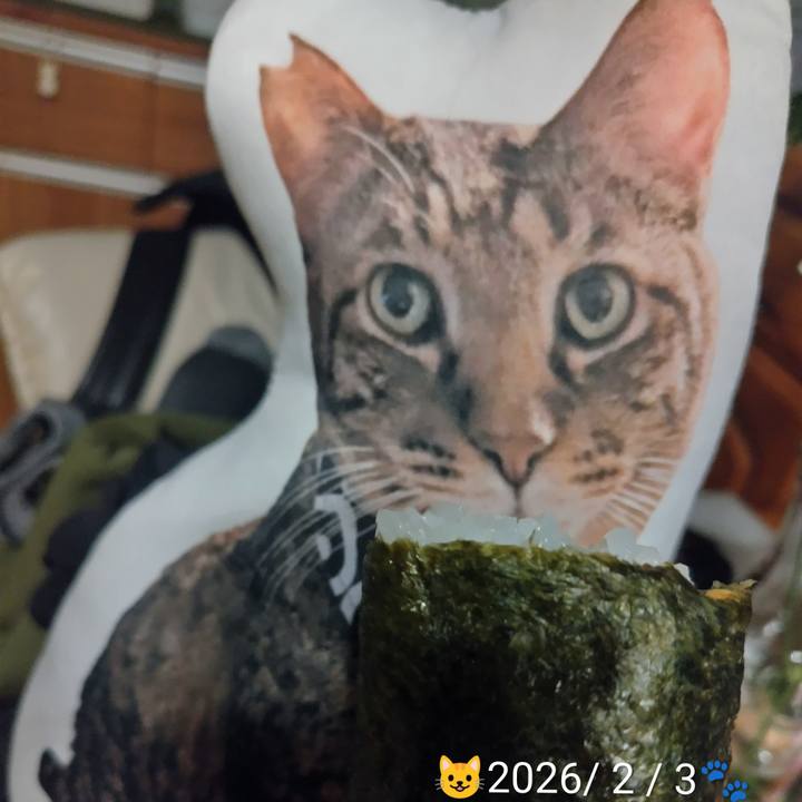 881921cd 7348 4bce b7b3 a6836725d06f 1770116693549