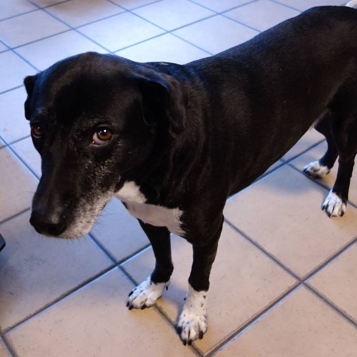 88194465 ce80 45bd 9645 603a44ff252f 1744852557751