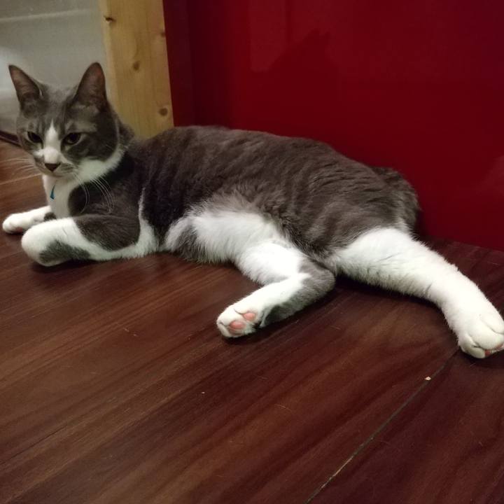 88194bac d7f1 410e a162 45d3d0162b61 1615983798119