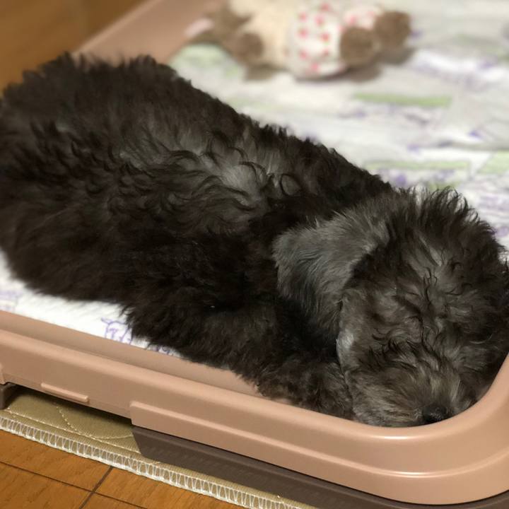 88194ca5 1dc7 4e17 9148 a3ceca06c6da 1568682947849