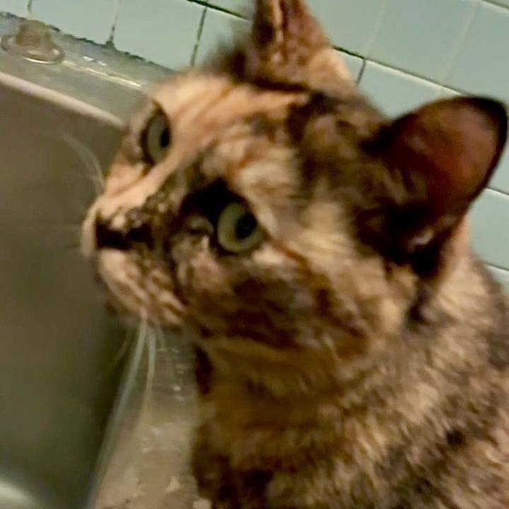 88195390 a04a 41fc 8970 2ec3c1e8cbc5 1762374527836