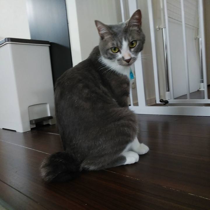 8819559c 0e38 4cba af6b bfbae5295e4d 1592899608668