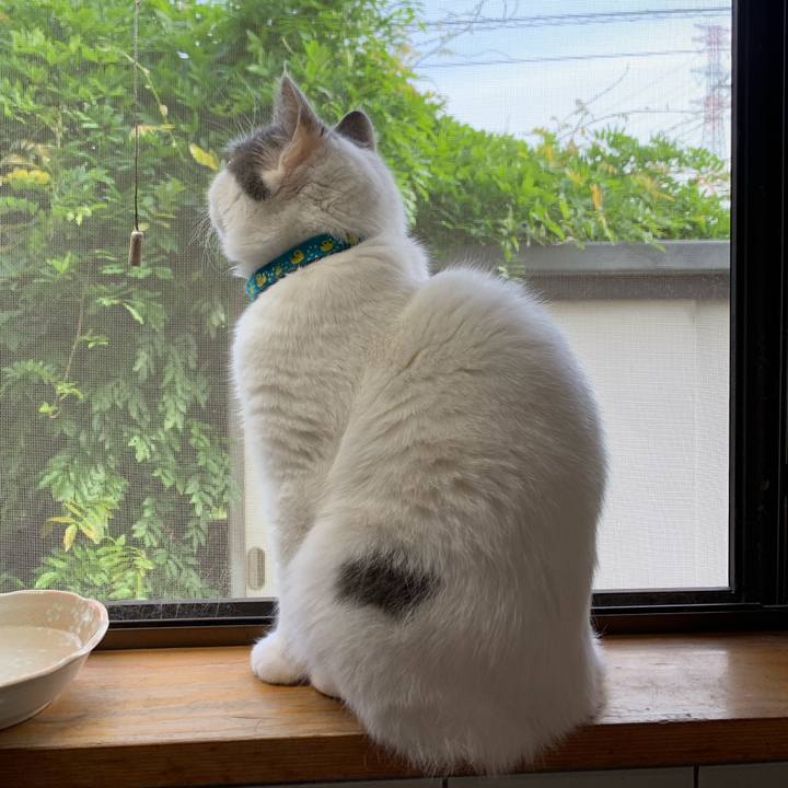 88197421 f743 46f4 98b7 3d977cbc8c1a 1653000323772