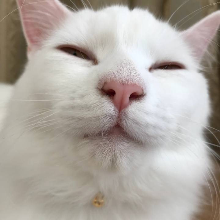 8819e824 1121 456d a4ef 29872f96893b 1521456335913