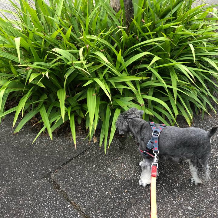 881a06bd 2024 4589 9c56 a309af208cb2 1661563353292