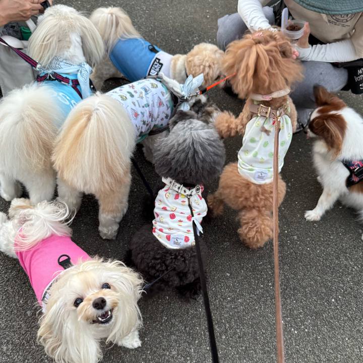 881a25e9 cb15 4d82 b131 a4eba672f1d5 1758149773082