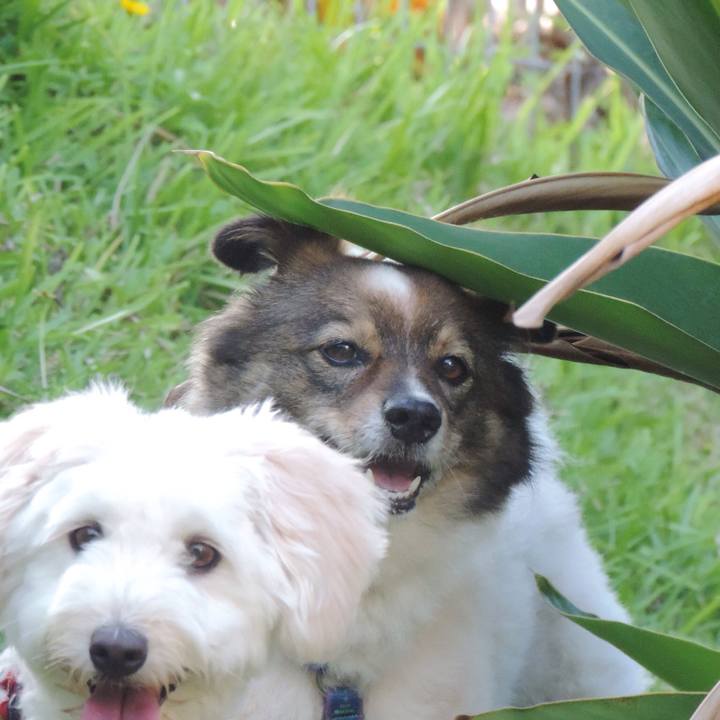 881a31f8 1e38 4bf9 8cd7 df293b201929 1528716995030