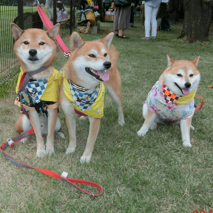 881a5b68 dd29 4e6e b6bc 55cb2d80bc83 1569677849064