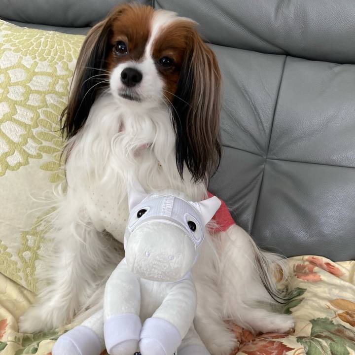 881a5f8d c9ad 4768 ac93 ff481294fb80 1648954461997