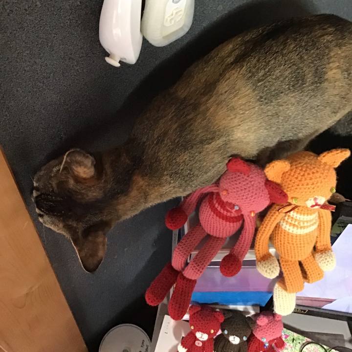 881a67a4 7bf5 4ac5 9a6d 44aeed31614e 1575598693696