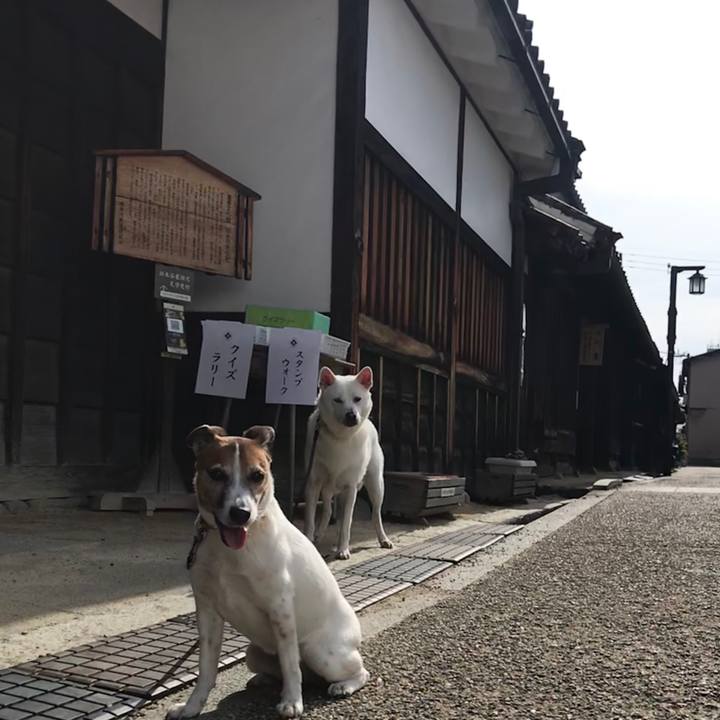 881a81b6 9476 4e29 87d0 5f72913588b4 1526088908834