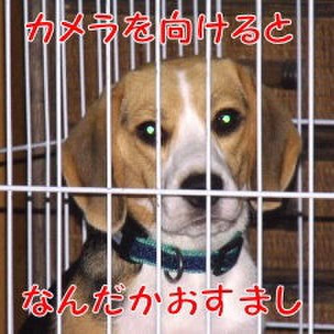 881ab0f1 d0f8 474f a3e6 d3b902ae1a19 1685665552769