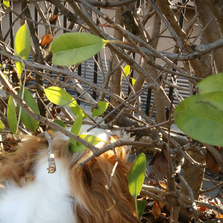 881acdb4 e95e 4152 830b cea78b497c30 1531741282207