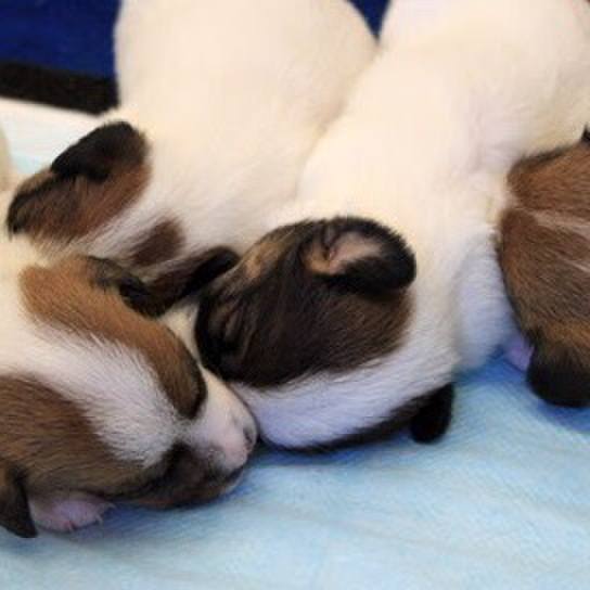 881ad946 5b09 40b3 af76 8d56385135a4 1529111958611