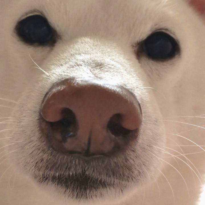 881ae75a 38ed 4b61 a7c5 80a0615858b9 1644640020559