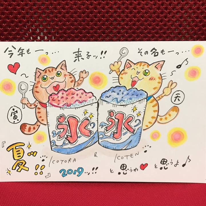 881aef48 0942 4800 957e 9c85bbc610b2 1564492995443