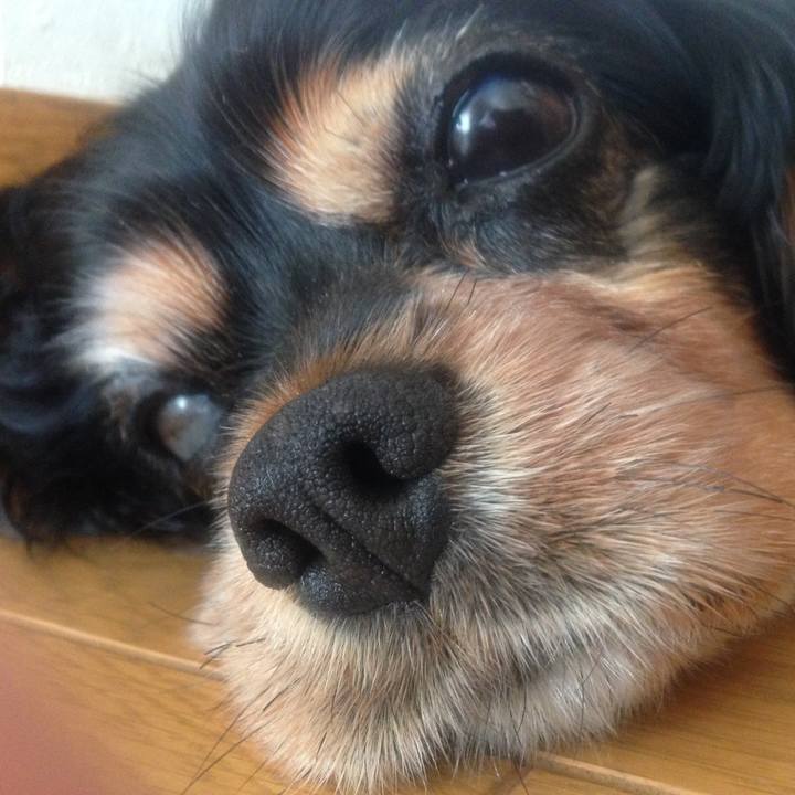 881afa46 1ba2 46bb ac23 36d60bac17c0 1567417401726