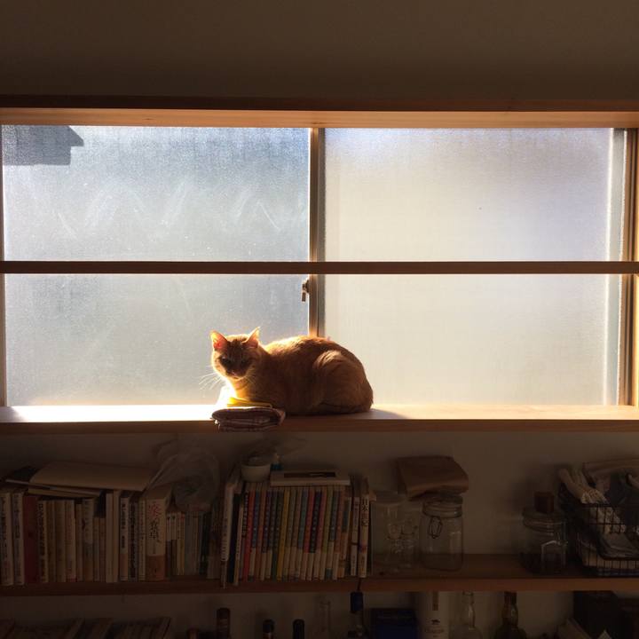 881b2454 96d7 43ea 9606 dc28c488e5a7 1546044716928