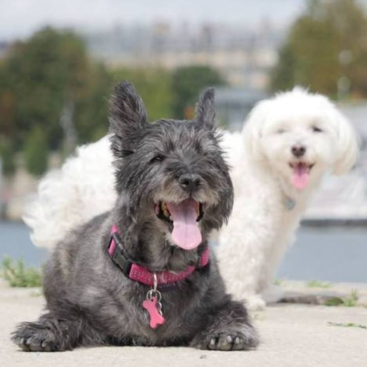 881b37c1 8a48 4adc 95dd cd55b46e1282 1599819675579