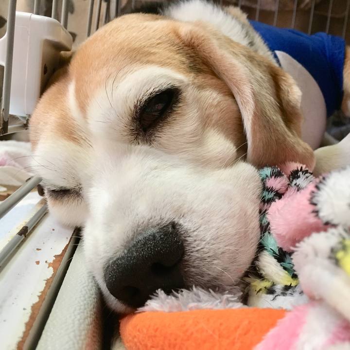 881b44de 82f7 435b bd60 b0515253ff48 1747642852596