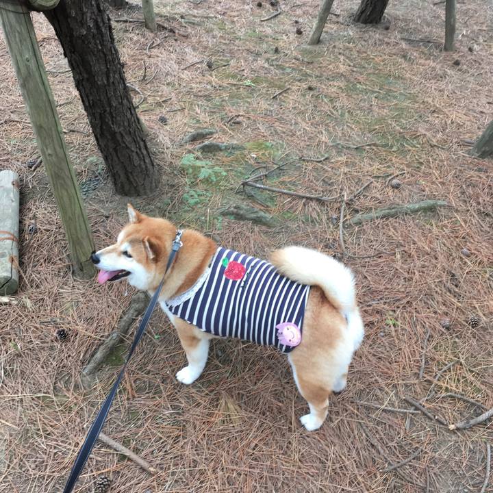 881b4f13 e7e7 47fb 9fdd 61aff0274372 1541467791927