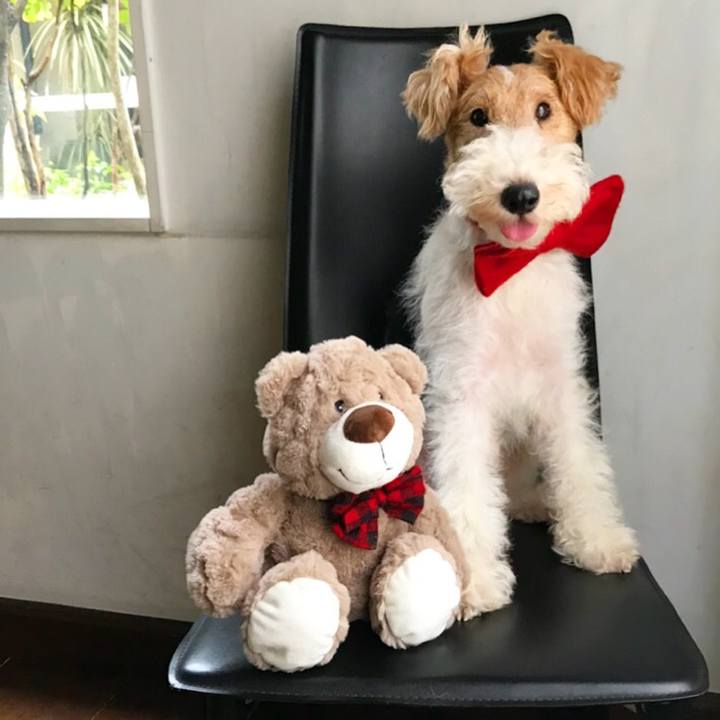 881b82e5 8f96 4919 94f2 321627bd8dc8 1538165911145