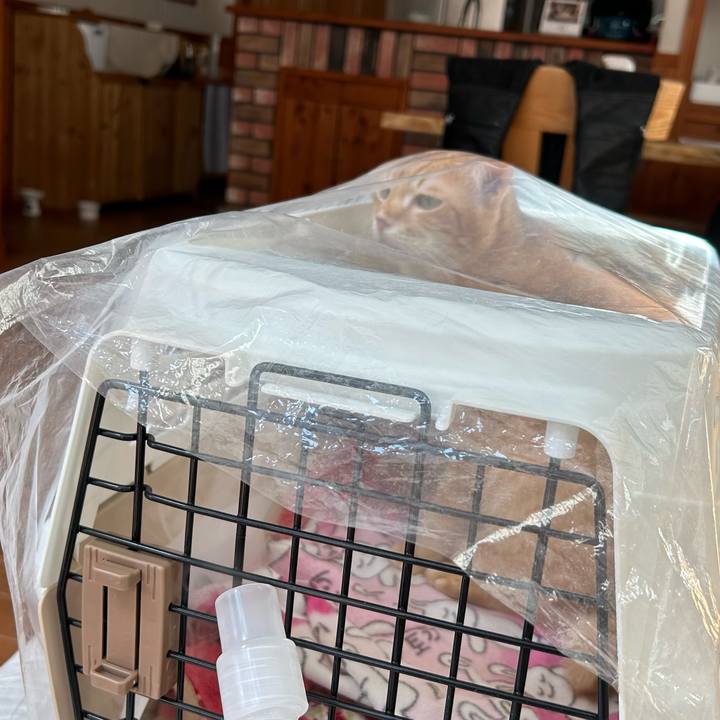 881baf4f 14ad 4a82 a20f af67406f4edd 1677128793903