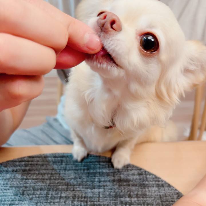 881bdcd0 7744 4696 b2e2 7a5b4bb5172f 1716729876622