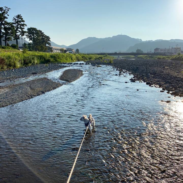 881bfd14 3347 43fc 8434 ebdfe9a5268f 1597874799310