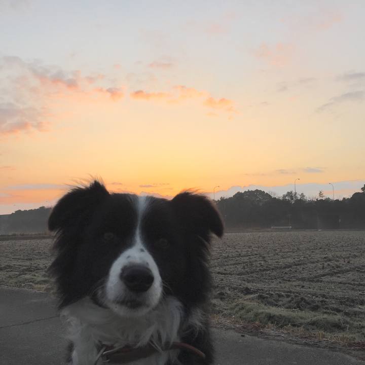 881c0dc4 a1c5 4b7d bc4b 5a267df09169 1516055581053