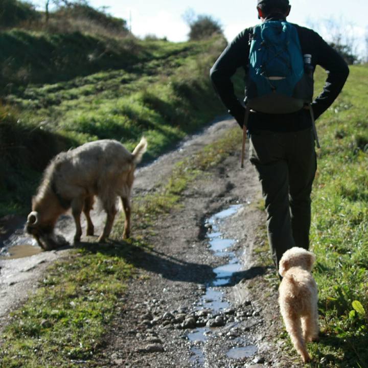 881c3ae3 199c 439e b798 cb8497f92a82 1543186073777