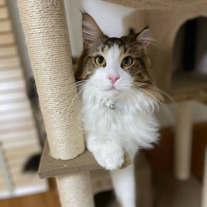 881c7ae1 4703 48b5 ab7b 64710e67262b 1647201425690