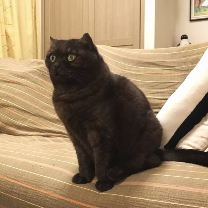 881cb8fb 65b4 4dae bc06 64b8b2d916e3 1548092481989