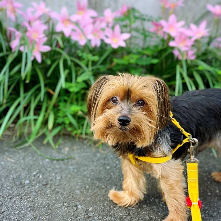 881cd185 42ed 4d1d a619 3fd894120a85 1601441843933