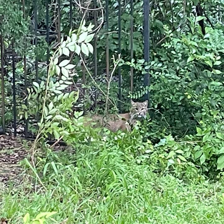 881cd45e 42fb 4184 8390 b042090b5a4e 1746582881941