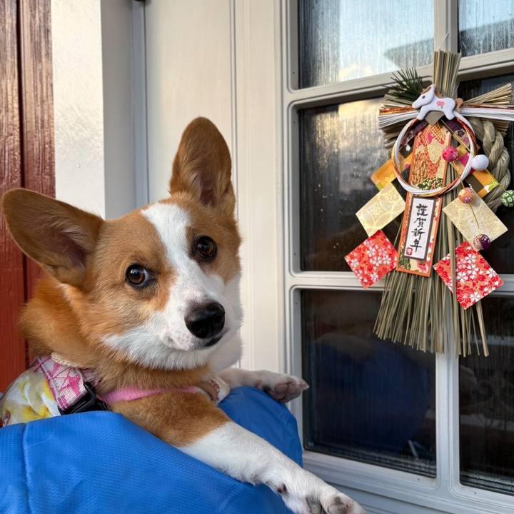 881cf371 ee2b 41bd acc0 ba01f4e0ca05 1767254987706