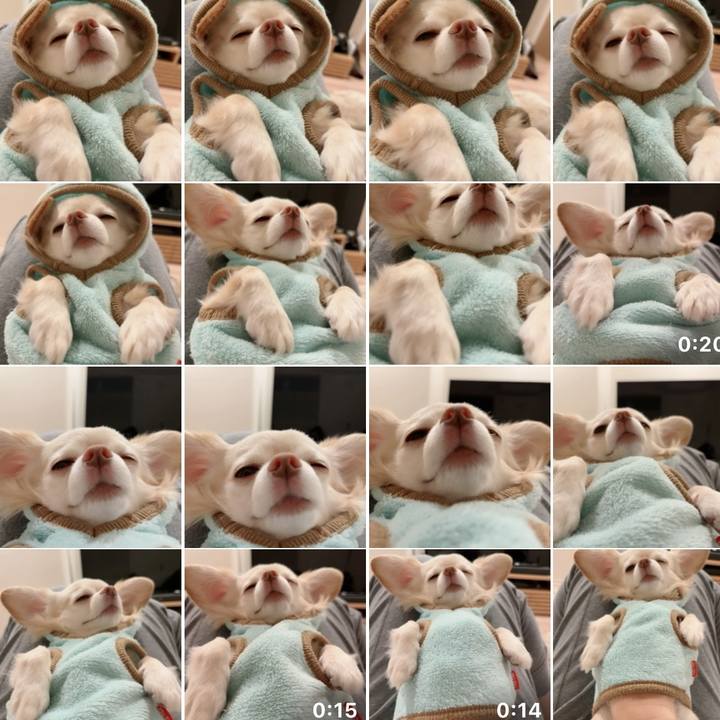 881d12a2 bf70 492a ad28 2529bb9f433f 1730287213354