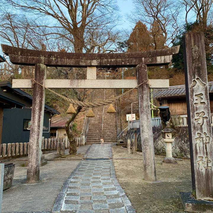 881d1b1e 9ea7 4fcd 8410 dd03cd5cfc36 1673945951653