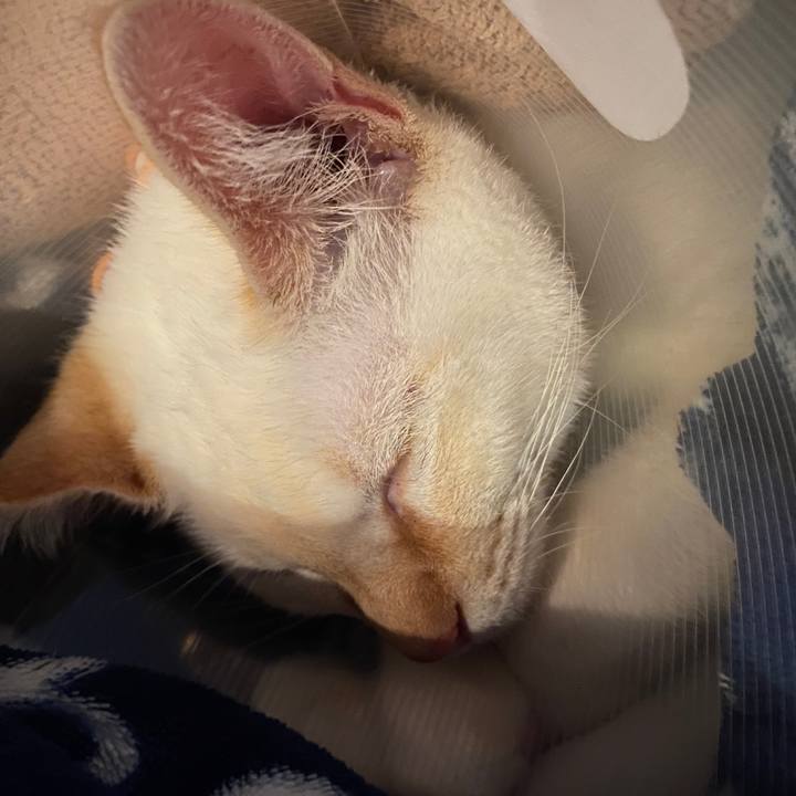 881d4b8d e346 4573 8245 2b20904cc280 1576985468271