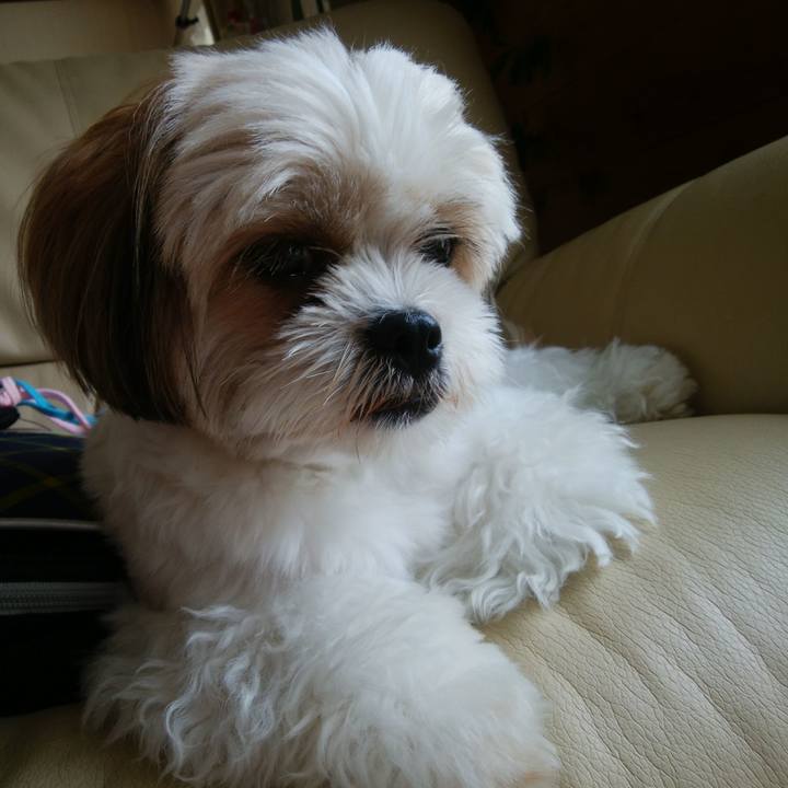 881d56a6 2850 4e8d 85ee 1e6e941ba119 1532048312211